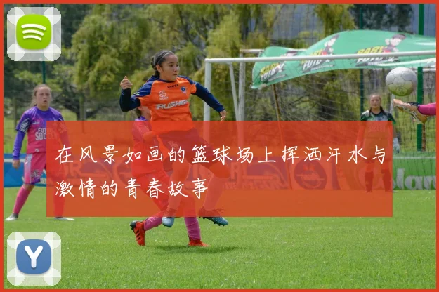 在风景如画的篮球场上挥洒汗水与激情的青春故事