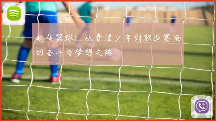 赵佳篮球：从青涩少年到职业赛场的奋斗与梦想之路