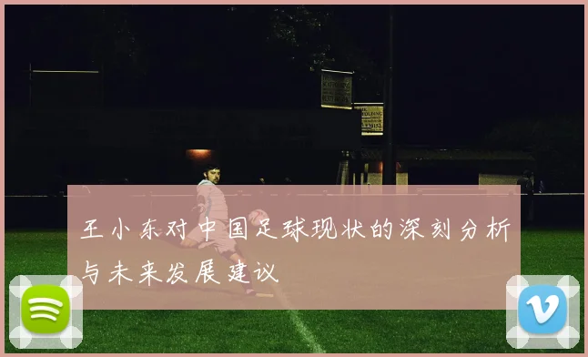 王小东对中国足球现状的深刻分析与未来发展建议