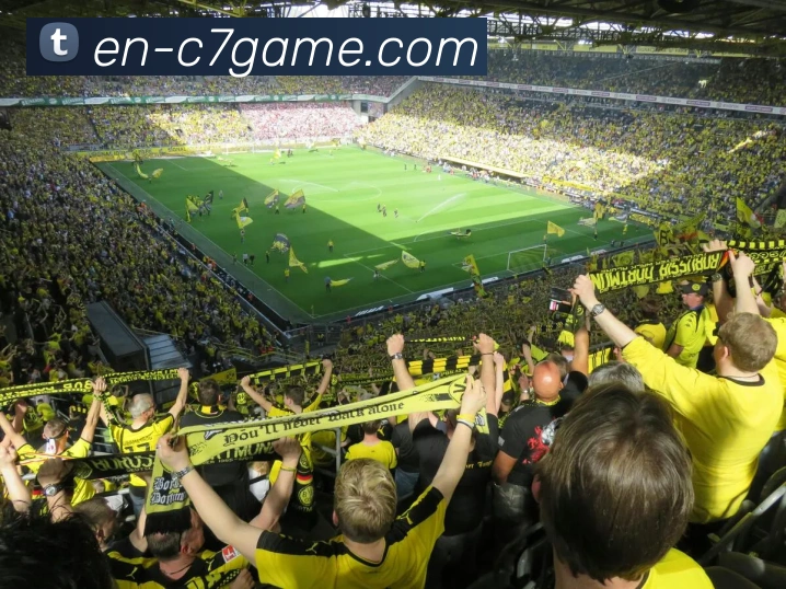 c7登录入口品牌故事